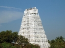 gopuram_39