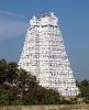 gopuram_40