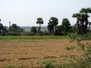 south-india_115