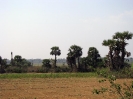 south-india_116