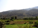 south-india_119