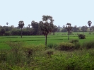 south-india_8