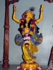 Mayapur-chandra_33