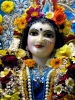 Krishna-Balaram-mandir_104