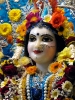 Krishna-Balaram-mandir_109