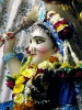 Krishna-Balaram-mandir_110