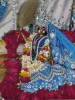 Krishna-Balaram-mandir_111