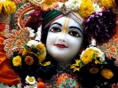 Krishna-Balaram-mandir_114