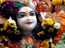 Krishna-Balaram-mandir_115
