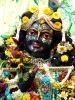 Krishna-Balaram-mandir_121