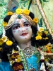Krishna-Balaram-mandir_122