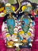 Krishna-Balaram-mandir_123