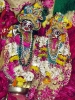 Krishna-Balaram-mandir_129