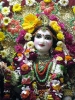 Krishna-Balaram-mandir_12