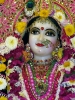 Krishna-Balaram-mandir_132