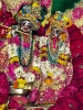 Krishna-Balaram-mandir_135