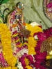 Krishna-Balaram-mandir_137