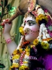Krishna-Balaram-mandir_138
