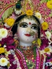 Krishna-Balaram-mandir_139