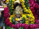 Krishna-Balaram-mandir_14