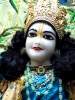 Krishna-Balaram-mandir_151