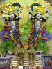 Krishna-Balaram-mandir_160