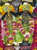 Krishna-Balaram-mandir_166