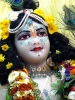 Krishna-Balaram-mandir_168