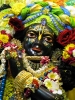 Krishna-Balaram-mandir_175