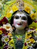 Krishna-Balaram-mandir_176