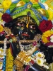 Krishna-Balaram-mandir_184