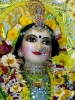 Krishna-Balaram-mandir_185
