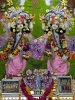 Krishna-Balaram-mandir_191