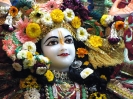 Krishna-Balaram-mandir_19
