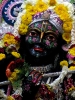 Krishna-Balaram-mandir_202