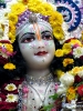Krishna-Balaram-mandir_203