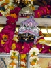 Krishna-Balaram-mandir_205