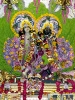 Krishna-Balaram-mandir_206