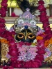 Krishna-Balaram-mandir_209