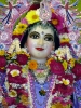 Krishna-Balaram-mandir_210