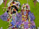 Krishna-Balaram-mandir_213