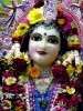Krishna-Balaram-mandir_214