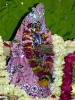 Krishna-Balaram-mandir_217