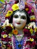 Krishna-Balaram-mandir_218