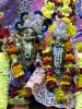Krishna-Balaram-mandir_219