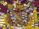 Krishna-Balaram-mandir_21