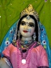 Krishna-Balaram-mandir_224