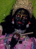 Krishna-Balaram-mandir_228