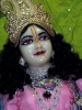 Krishna-Balaram-mandir_229