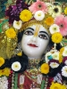 Krishna-Balaram-mandir_22
